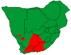 trichodiadema.gif (2546 Byte)